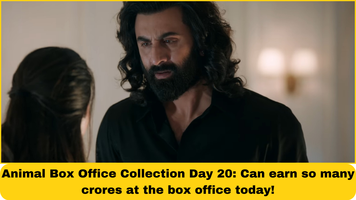 Animal Box Office Collection